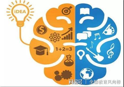 训练孩子全脑开发课有必要吗？