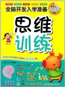 全脑开发入学准备 思维训练的全脑应用开发与训练